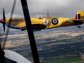 Customer Photo of Wing to Wing with a Spitfire (Squadron Leader)